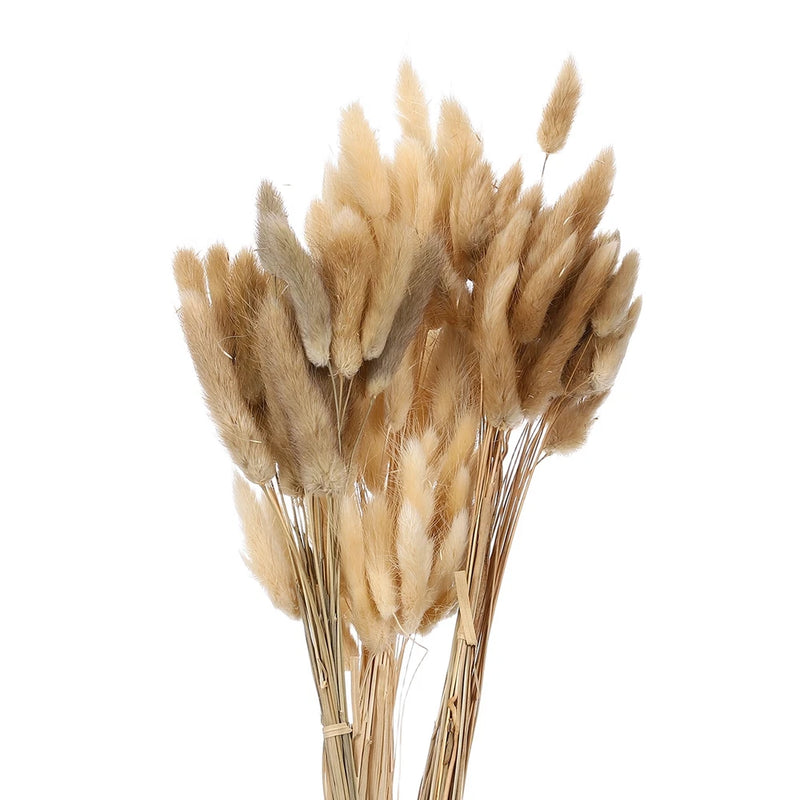 100pcs Natural Bunny Tail Dried Flowers 18" Mini Pampas Grass, White and Brown Dried Flower