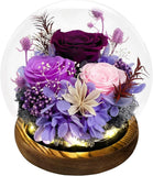 Gifts for Mom Women Birthday Preserved Flowers in Glass Dome Forever Fresh Flowe Hydrangea