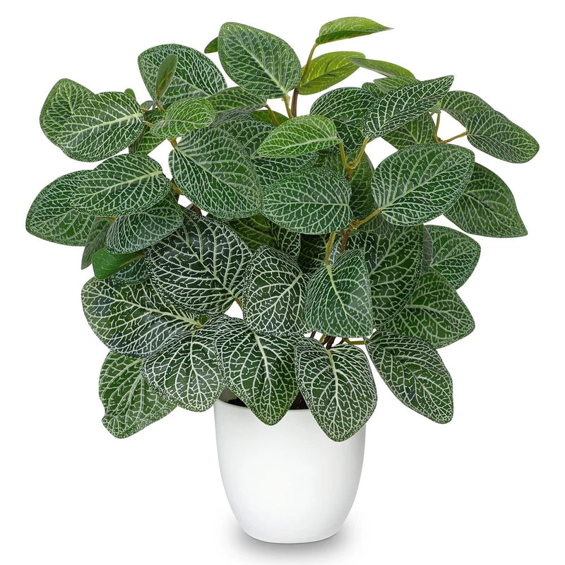 Artificial fittonia plant with green leaves and white vein pattern in a white pot