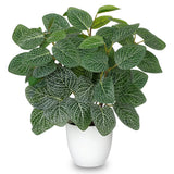 Artificial Fittonia Plants in White Pot - 15.7" Fake Nerve Plant Indoor Silk ... Green Plant