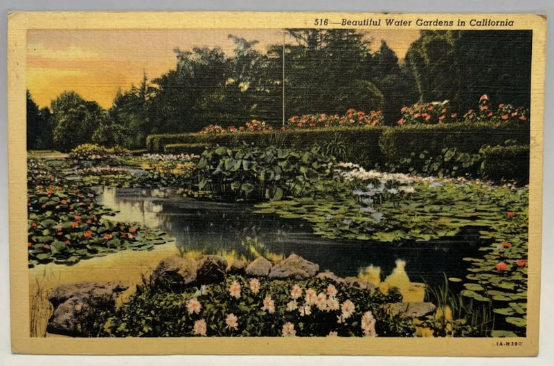 Vintage postcard of a California water garden pond with water lilies and flowers