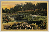 Beautiful Water Gardens in California, CA Water Lilies, Flowers Vintage Postcard Lily