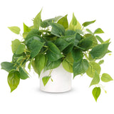 Faux Plants Indoor, Pothos Small Fake Plants for Home Decor Indoor Fake Potte... Green Plant