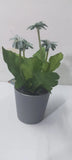 Mini Artificial Potted Plant Light Blue African Daisy Faux Flowers Tabletop Deco Green Plant
