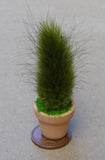 Green Colour Plant In A Pot Tumdee 1:12 Scale Dolls House Garden Flower MG Flowering Plants