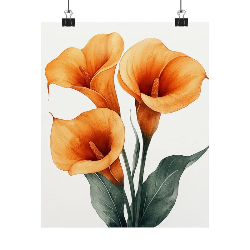Orange calla lily flower art print poster with three blooms and green leaves