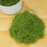 Artificial Green Plants,50G Faux Moss Filler Decor Planters Fake Green Lichen Green Plant