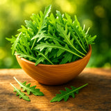 200+ ARUGULA ROCKET SEEDS __ HEIRLOOM | NON-GMO | FAST BABY LEAF | FREE SHIPPING Garden Plants