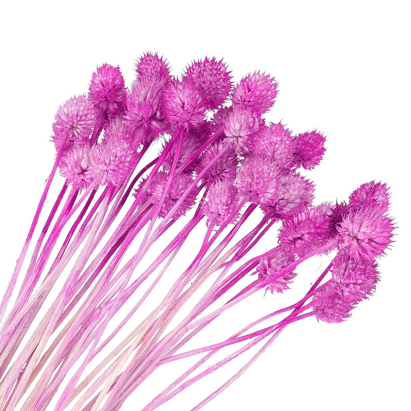 30 Pcs 16 Inch Dried Flowers for Vase Mini Pine Ball Flowers Rose Red(Stem) Dried Flower