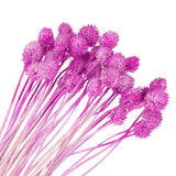 30 Pcs 16 Inch Dried Flowers for Vase Mini Pine Ball Flowers Rose Red(Stem) Dried Flower