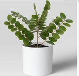 Potted Faux Plant  Indoor  Decorative Green Artificial _Flower (2 Small Pots) Green Plant