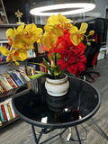 Yellow orchid red flower In A Pot Orchids