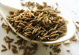500 Organic CUMIN Cuminum Cyminum Herb Flower Seeds Flowering Plants