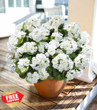 6 Bundles White Silk Geraniums Artificial Flowers UV Resistant Outdoor Plants Green Plant