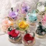 Preserved Real Rose in Glass Dome, Eternal Gift for Her Valentine's Anniversary Flowering Plants