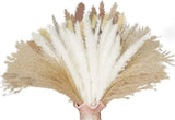 Pampas Grass Bouquet Natural Boho 17" White, Bunny Tail, Reed & Bunny 90 PC Pampas Grass