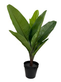 New IKEA FEJKA Artificial Potted Plant Banana Tree 12 cm (4 _ ") 106.008.60 Green Plant