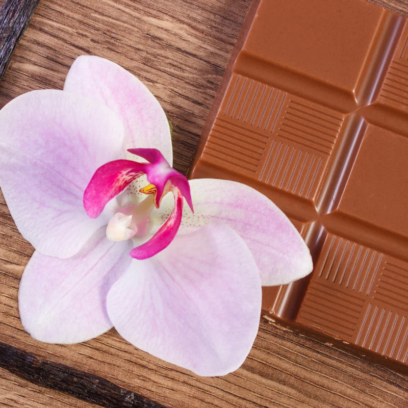 Orchid and chocolate fragrance oil with pink-and-white orchid flower and chocolate bar