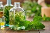 250 PEPPERMINT MINT Mentha Piperita Herb Flower Seeds Flowering Plants