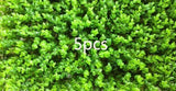 TECHTONGDA¨5PCS 23.6X15.7" Artificial Wall Mat Plant Eucalyptus Encryption Grass Green Plant