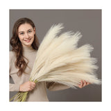 Perfnique Faux Pampas Grass, 9PCS Pompas, Large Pampas Grass, 38'' Tall Pampa... Pampas Grass