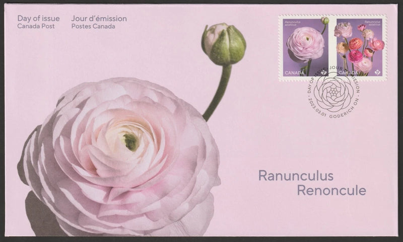 Canada #3375-3376, Ranunculus, Type 2, Official First Day Cover, FDC 2023 Ranunculus
