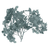 10g Mini Dried Hydrangea Flower Natural Pressed Flower Real Hydrangeas Gray Dried Flower