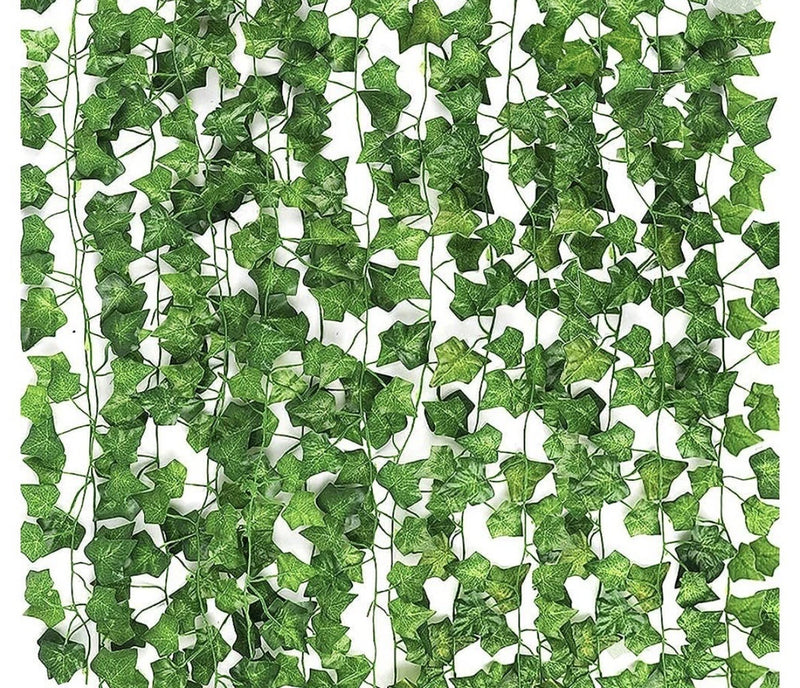 Decorative Greenery Green Plant