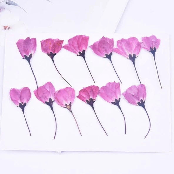 12-piece pressed pink cherry blossom flowers with stems, multiple blooms