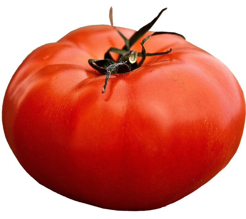 200+ TOMATO ALL-AMERICAN SEEDS GIANT BEEFSTEAK MASSIVE FRUITS HEIRLOOM VEGETABLE Garden Plants