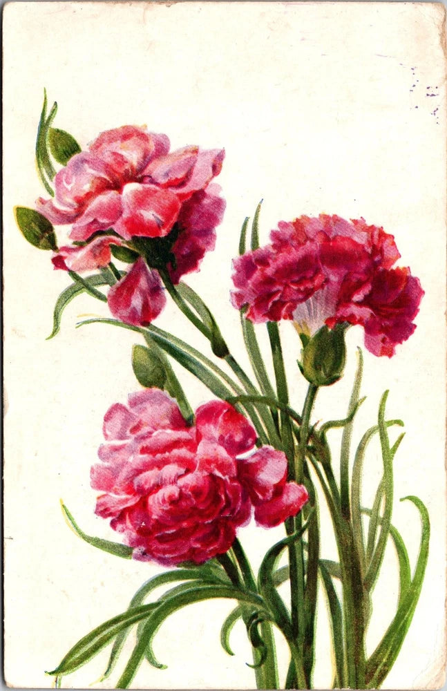 Vintage Color Paris Carnation Flower Postcard 1918 WWI Soldier Mail Carnation