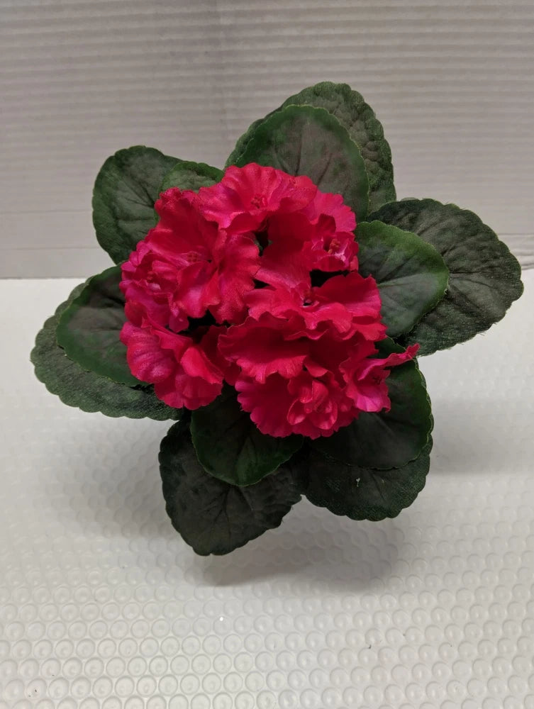 8" ARTIFICIAL semi-miniature African violet (Magenta) Flowering Plants