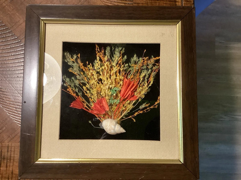 Shadow box dried flower wall hanging with framed bouquet and white shell accent