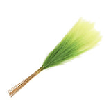 20Pcs Faux Pampas Grass,21"/55cm Fake Pampas Grass Decor,Gradual Green Pampas Grass