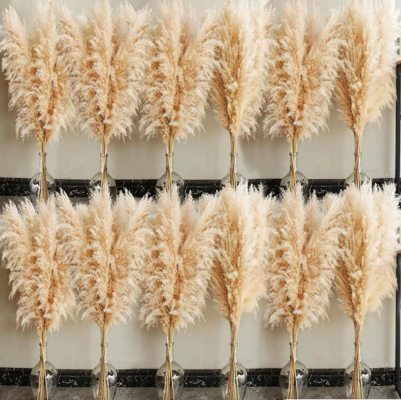 40" Inch 60 Stems Natural Pampas Grass Decor Tall, Pompas Grass, Tall Pampas Gra Pampas Grass