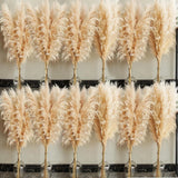 40" Inch 60 Stems Natural Pampas Grass Decor Tall, Pompas Grass, Tall Pampas Gra Pampas Grass