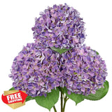 26" Artificial Hydrangea Flower Bloom Gradient Silk Fake Floral Decor Hydrangea