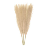 3pcs Dried Faux Pampas Grass 17" Artificial Pampas Grass Decor Khaki Pampas Grass