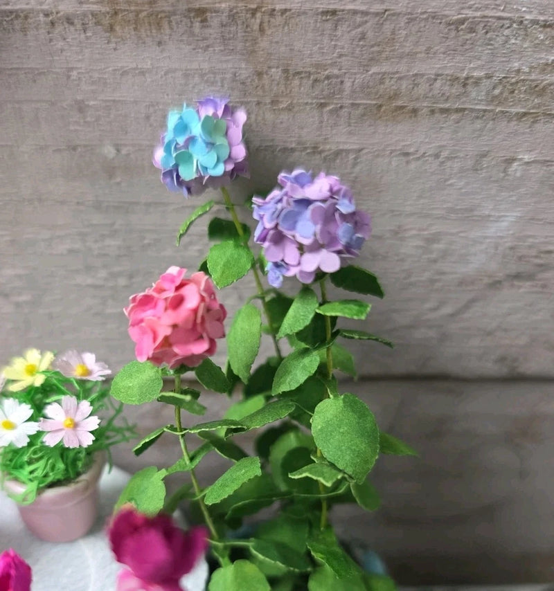 Dollhouse Miniature hydrangea flowers pastel variegated hydrangea potted artisan Hydrangea