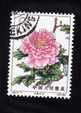 CHINA - 1964   Sc#773 Peony Flowers Peony