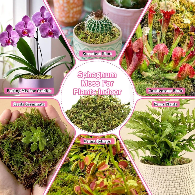 4.4LBS Premium Sphagnum Moss for Plants- 80QT Natural Dried Plant Moss for Potte Orchids