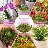 4.4LBS Premium Sphagnum Moss for Plants- 80QT Natural Dried Plant Moss for Potte Orchids