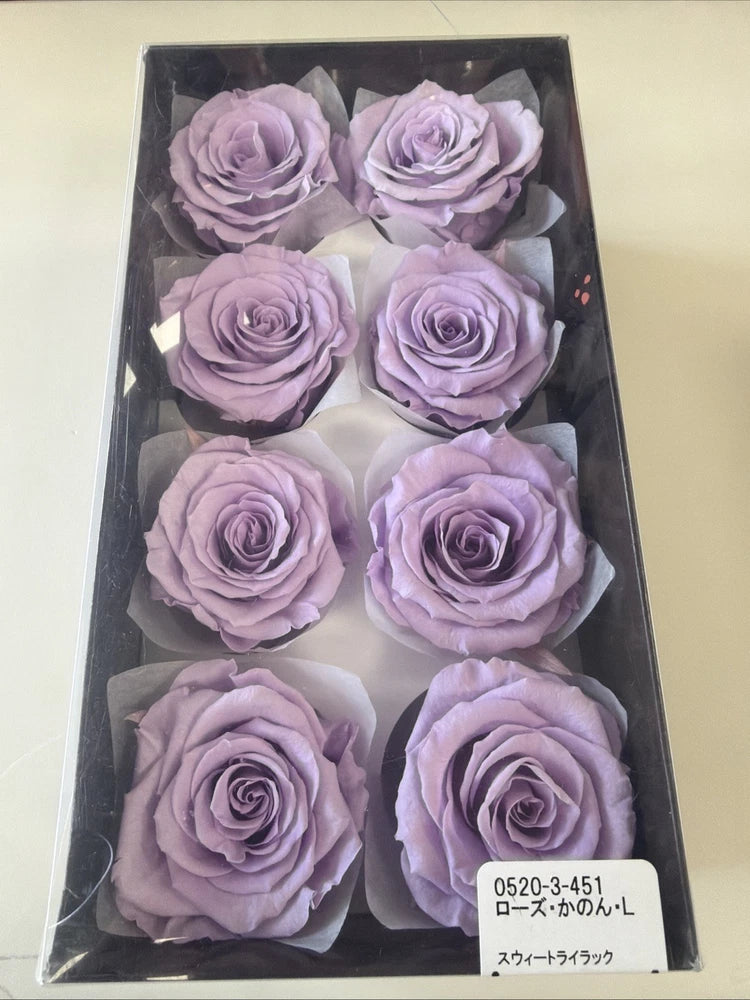 Preserved lavender roses set in clear box with dark backing, multiple blooms
