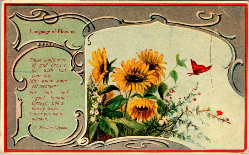vintage postcard - Language of Flowers - sunflowers posted 1909 Sunflower