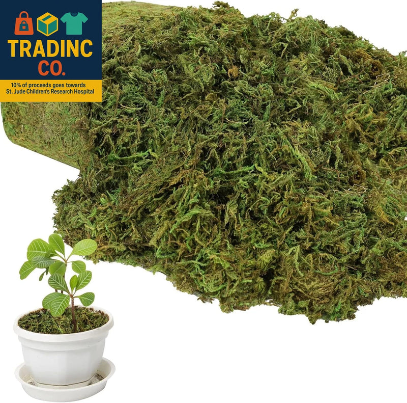 Large artificial moss mat, bright green textured grass covering a potted plant