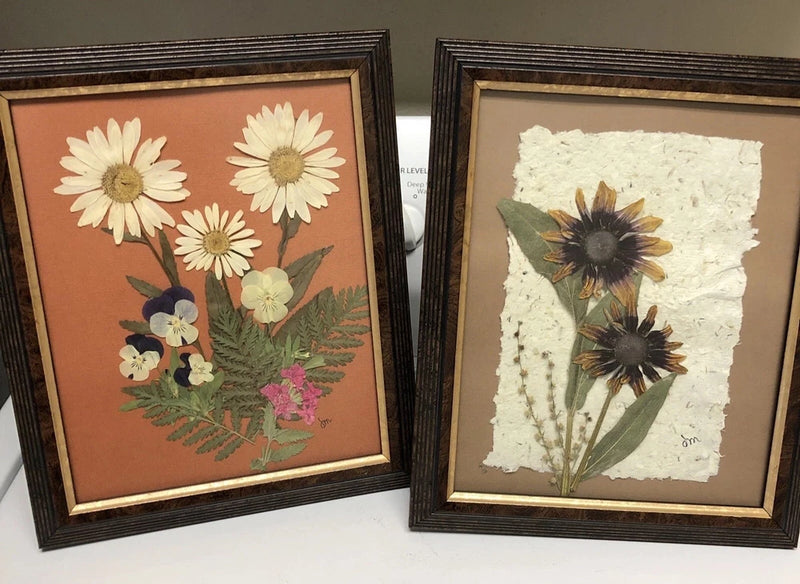Set of 2 framed pressed flowers with daisies and dark starburst blooms