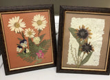 Wyoming Real Dried Pressed Flowers Foliage  signed ~ Frames (2) Beautiful Dried Flower