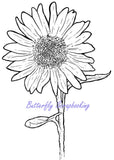 SUNFLOWER Blossom Flower Cling Unmounted Rubber Stamp MAGENTA C42210-P NEW Sunflower