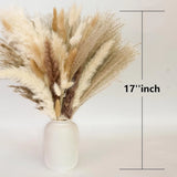 300 PCS Dried Pampas Grass Decor Dried Flower Bouquets Wedding Home Centerpiece Pampas Grass