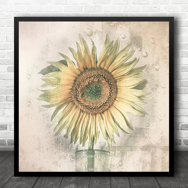 Square sunflower wall art print with black frame and single large bloom